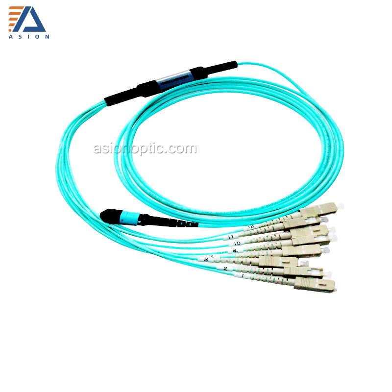 MPO/MTP Harness Cable