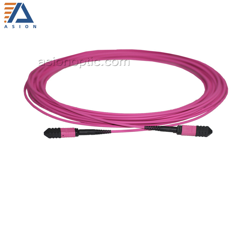 OM4 MPO Trunk Cable