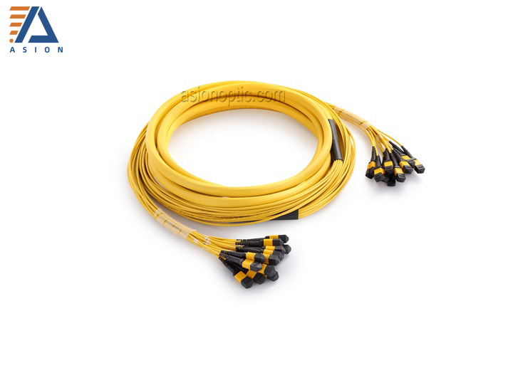 MPO/MTP Trunk Cable