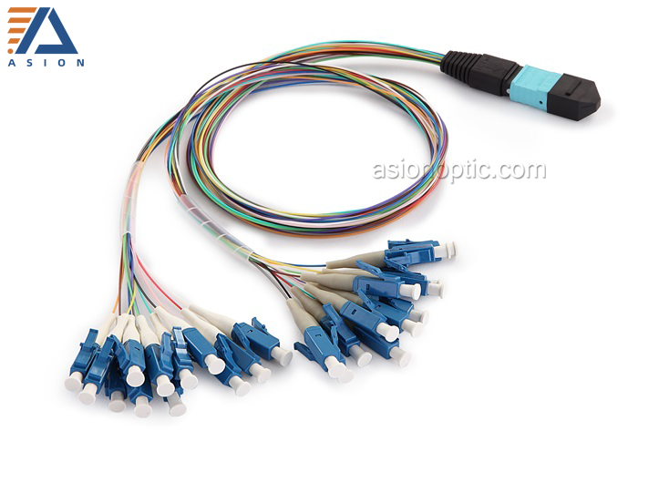 MPO/MTP Fanout Cable
