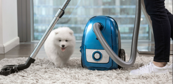 thick carpet cleaner